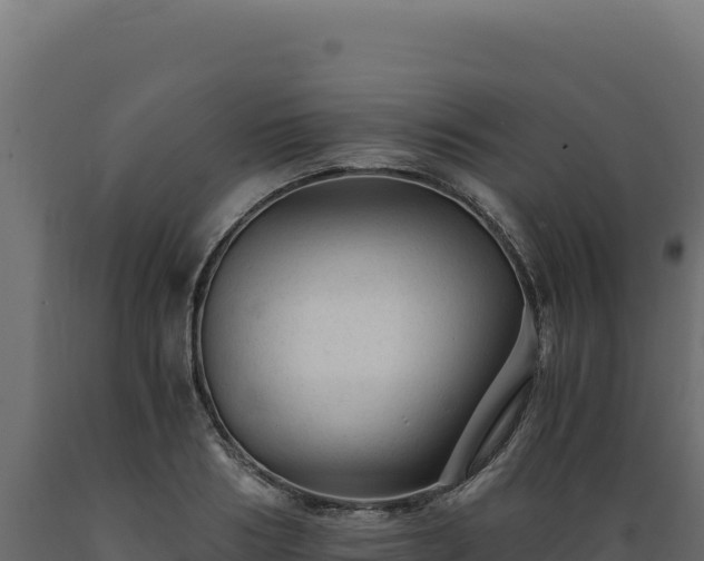 X0000089950986200707061117