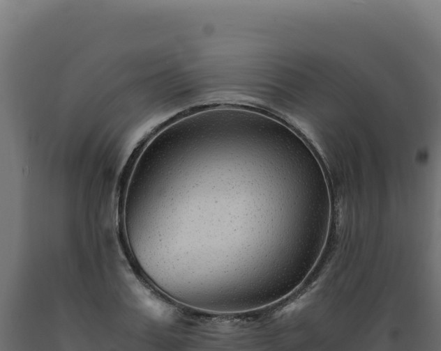 X0000089950987200707061117