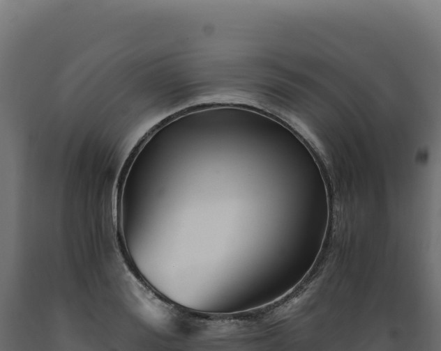 X0000089950988200707061117