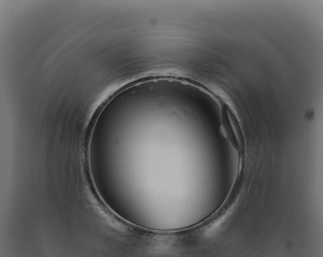 X0000089950989200707061117