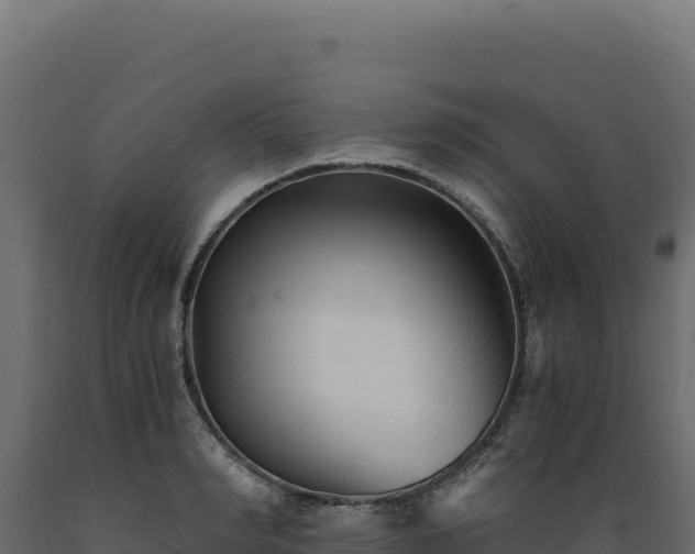 X0000089950990200707061117