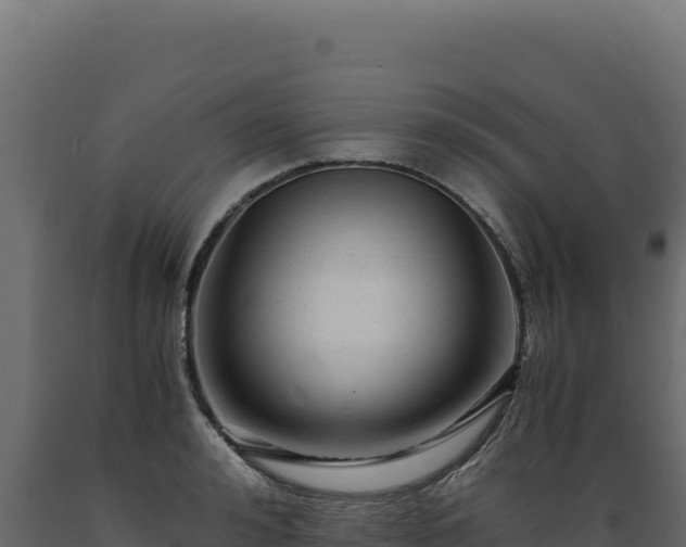 X0000089950992200707061117
