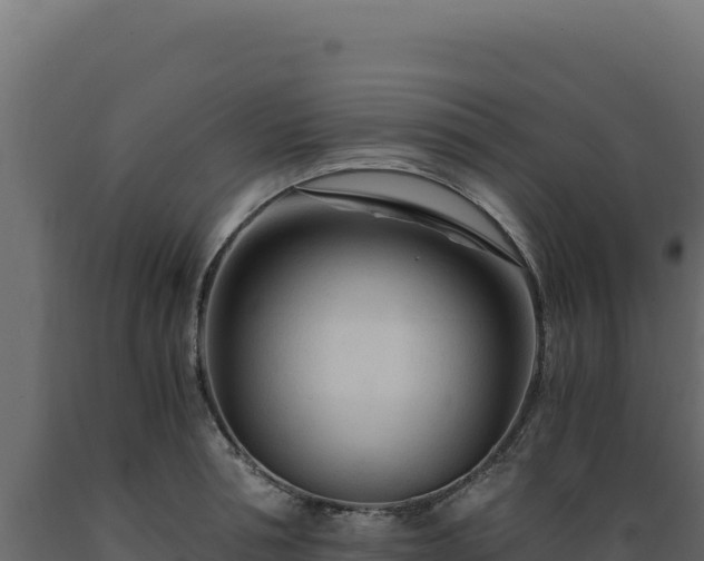 X0000089950994200707061117