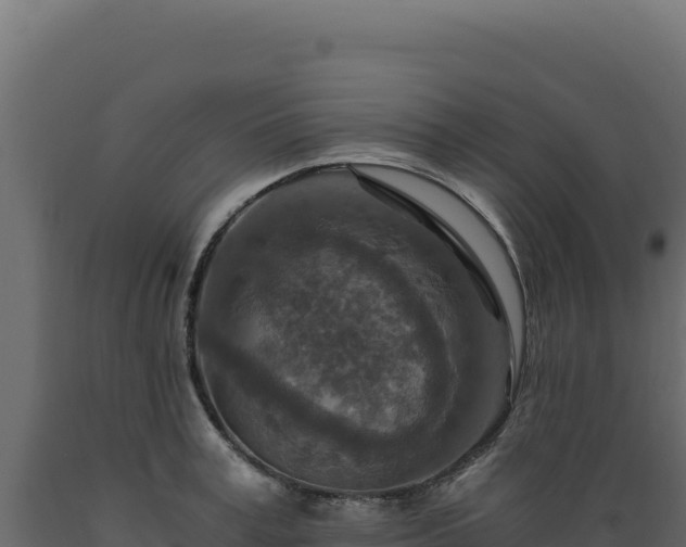 X0000089950995200707061117