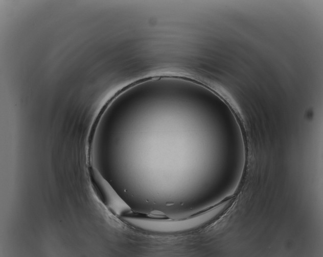 X0000089950996200707061117