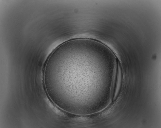 X0000089950998200707061117