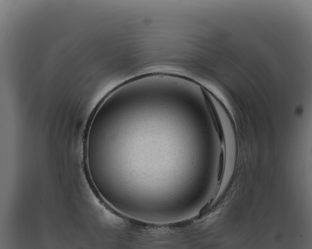 X0000089950999200707061117