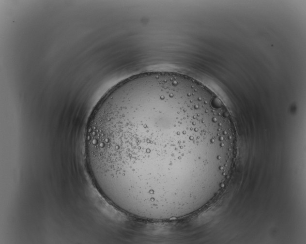 X0000089951000200707061117