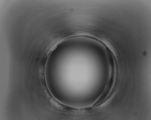 X0000089951001200707061117