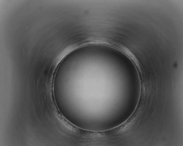 X0000089951002200707061117
