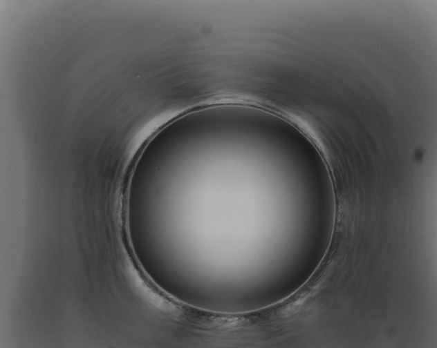 X0000089951003200707061117