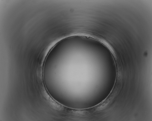 X0000089951004200707061117