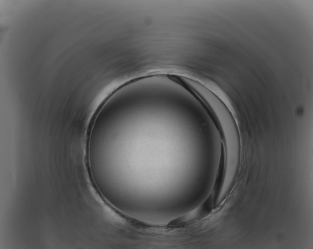 X0000089951005200707061117