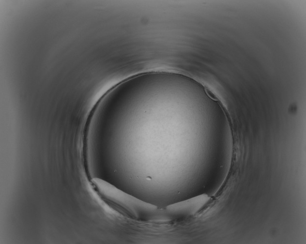 X0000089951007200707061117