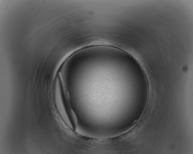 X0000089951008200707061117