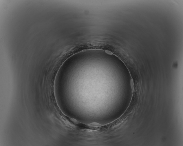 X0000089951009200707061116