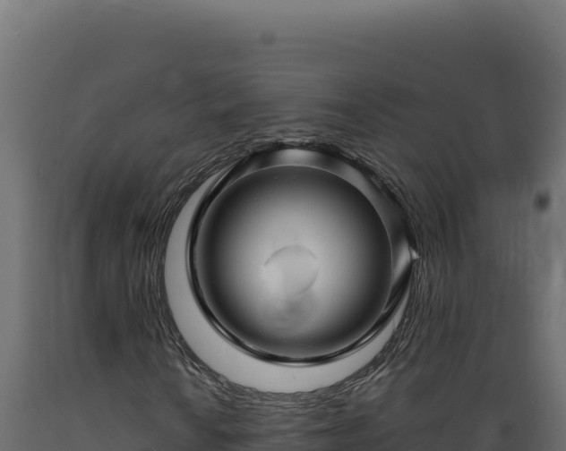X0000089951010200707061116
