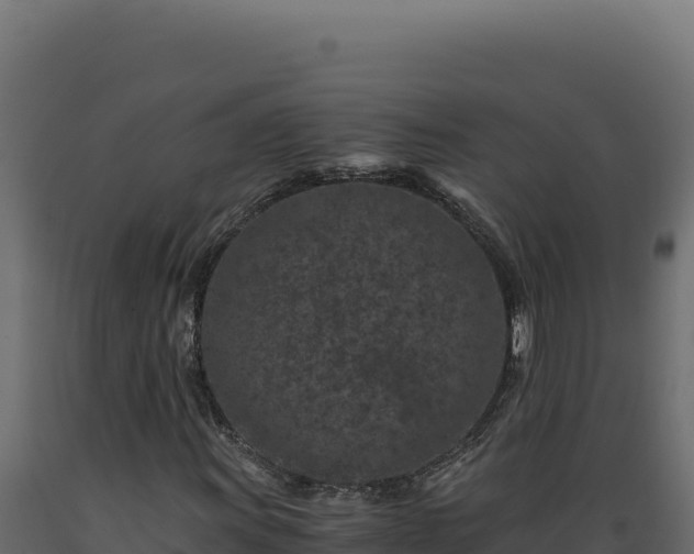 X0000089951011200707061116