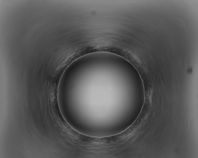 X0000089951012200707061116