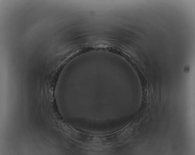 X0000089951013200707061116