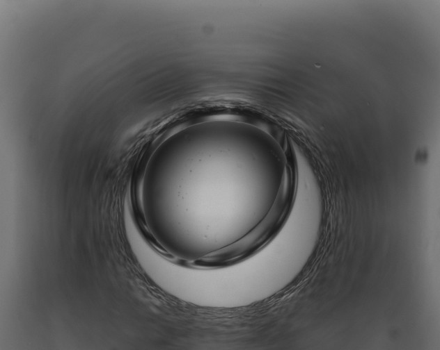 X0000089951014200707061116