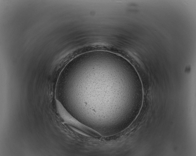 X0000089951015200707061116