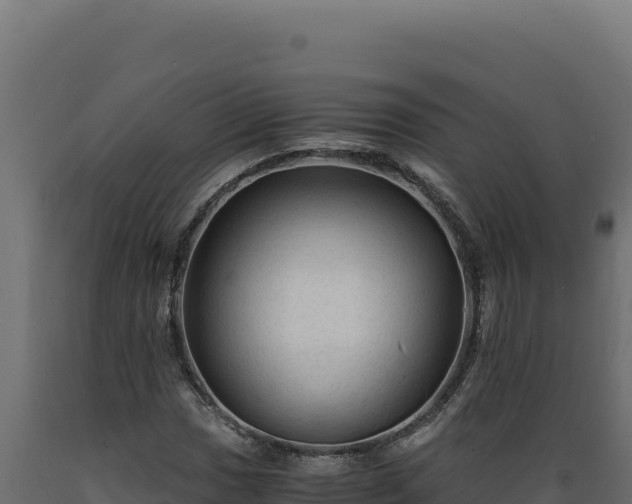 X0000089951017200707061116