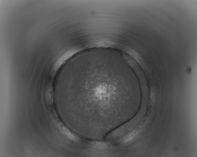X0000089951018200707061116