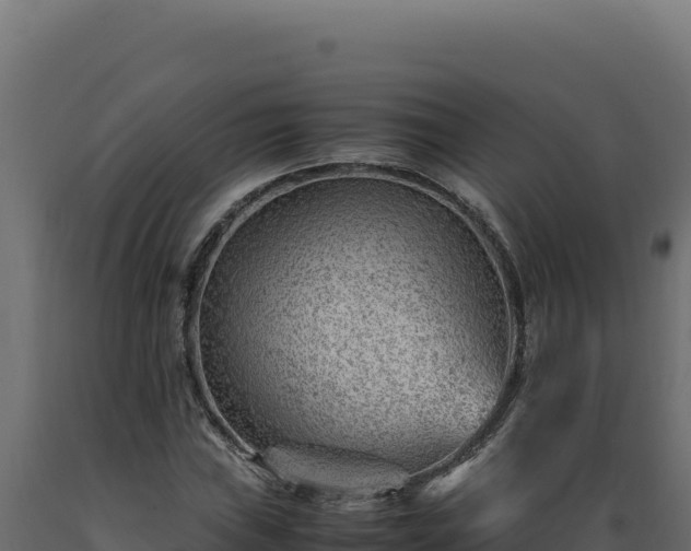 X0000089951019200707061116