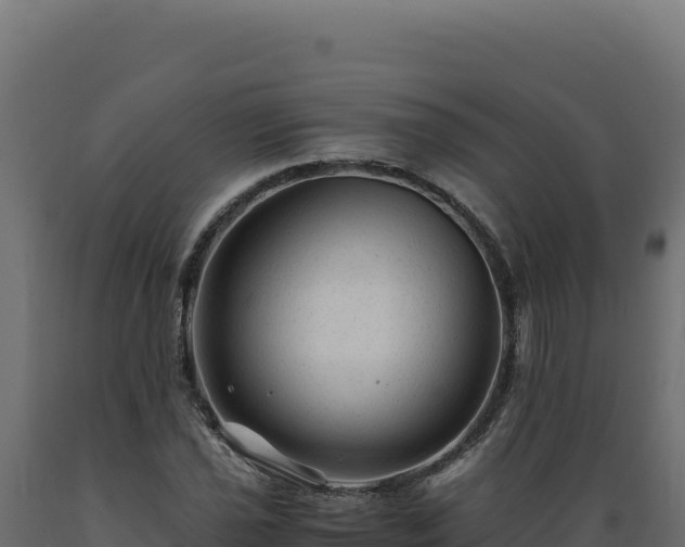 X0000089951021200707061116