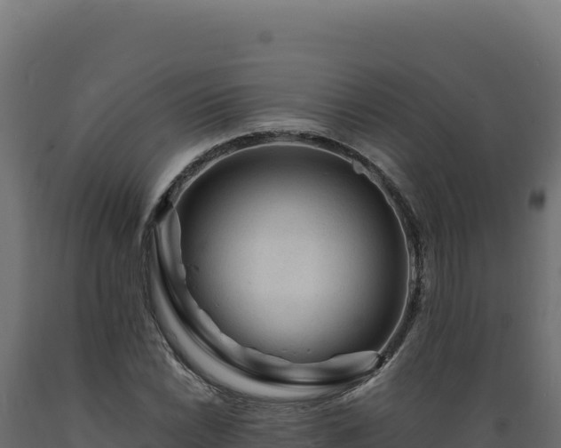 X0000089951022200707061116