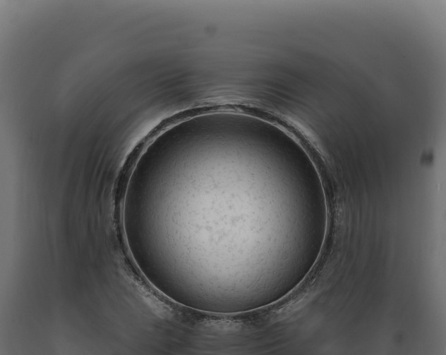 X0000089951023200707061116