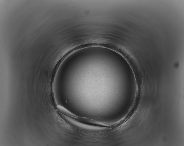 X0000089951025200707061116