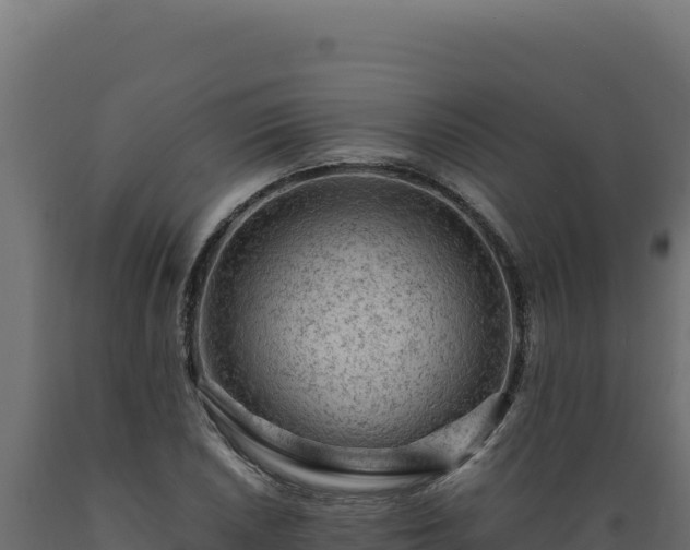 X0000089951026200707061116