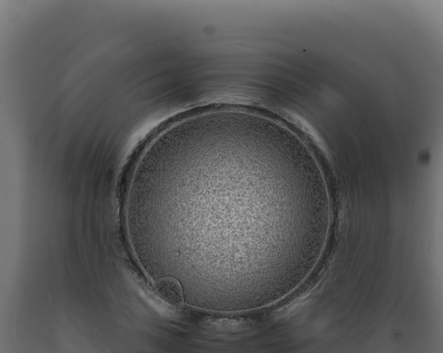 X0000089951027200707061116
