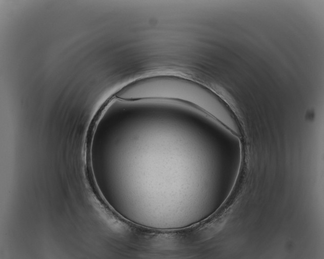 X0000089951028200707061116