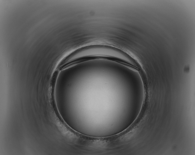 X0000089951029200707061116