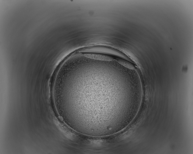 X0000089951031200707061116