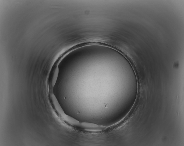 X0000089951032200707061116