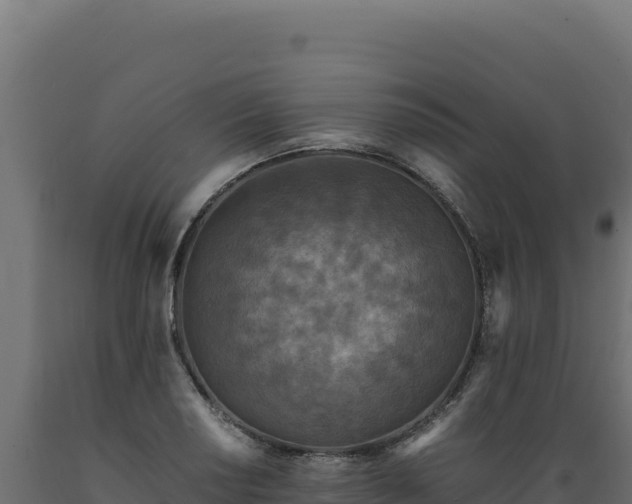 X0000089951034200707061116