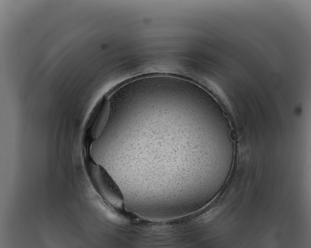 X0000089951035200707061116