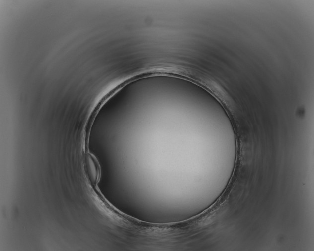 X0000089951036200707061116