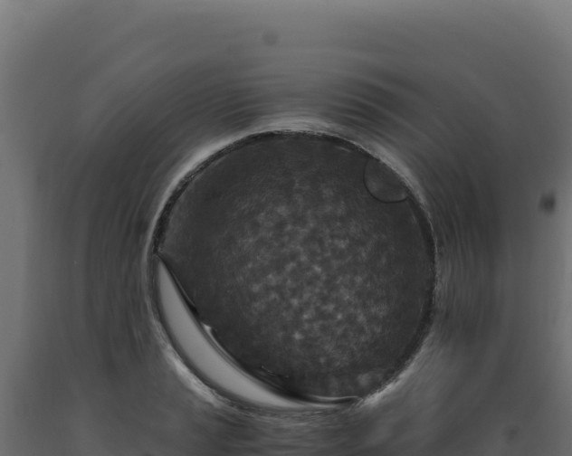 X0000089951037200707061116