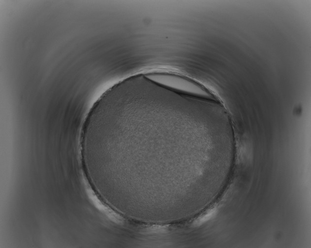 X0000089951038200707061116