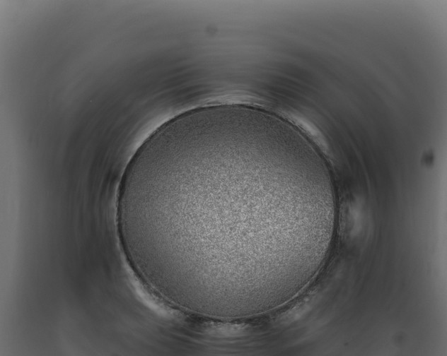 X0000089951039200707061116