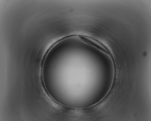 X0000089951040200707061116