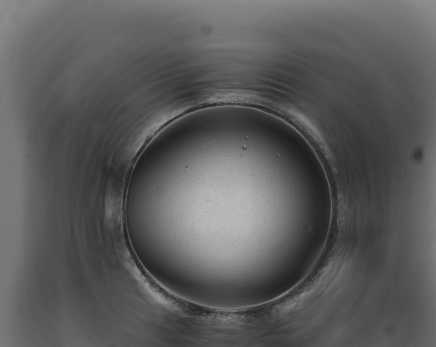 X0000089951041200707061116