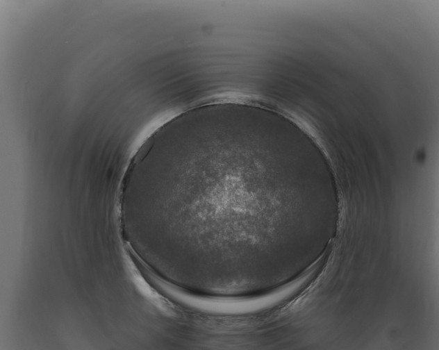 X0000089951042200707061116