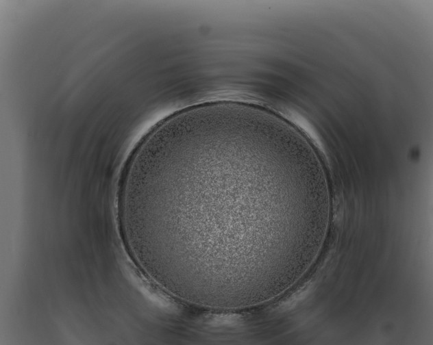 X0000089951043200707061116