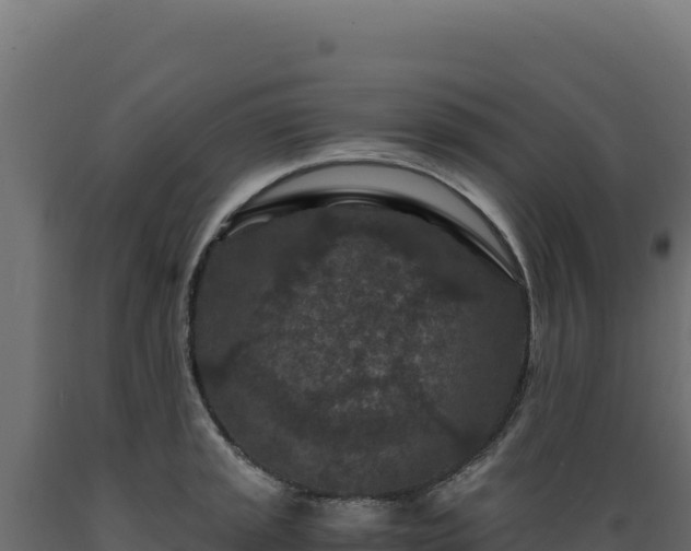 X0000089951045200707061116